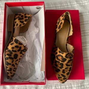 Cheetah Catherine Malandrino Flats - Never worn!